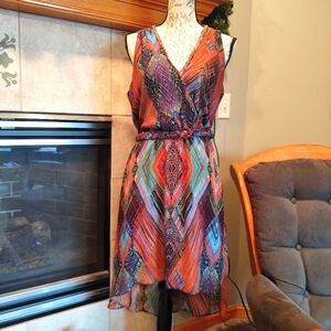 Charlie Jade Medium Amazing Dress!